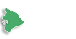 Chiropractic Office